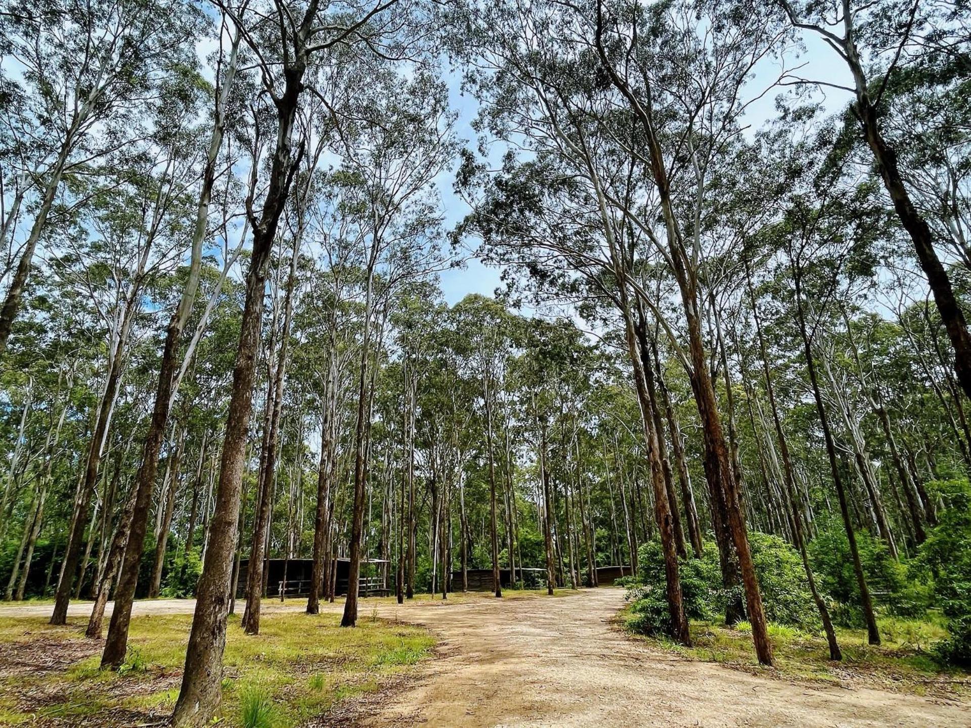 Lakes Entrance Log Cabins 外观 照片